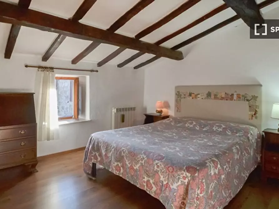 Immagine 18 di Appartamento in affitto  in Via Lunga a Santa Fiora