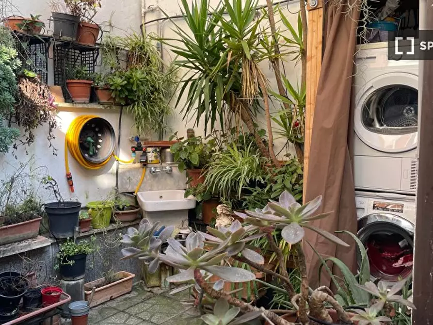 Immagine 19 di Appartamento in affitto  in Viale dell'Acquedotto Alessandrino a Roma