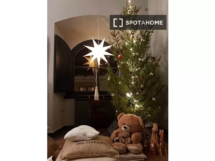 Immagine 16 di Camera condivisa in affitto  in Via Santo Spirito a Firenze