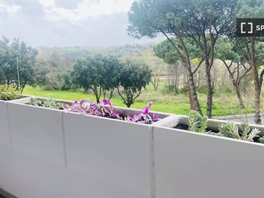 Immagine 13 di Appartamento in affitto  in Via Vitaliano Brancati a Roma