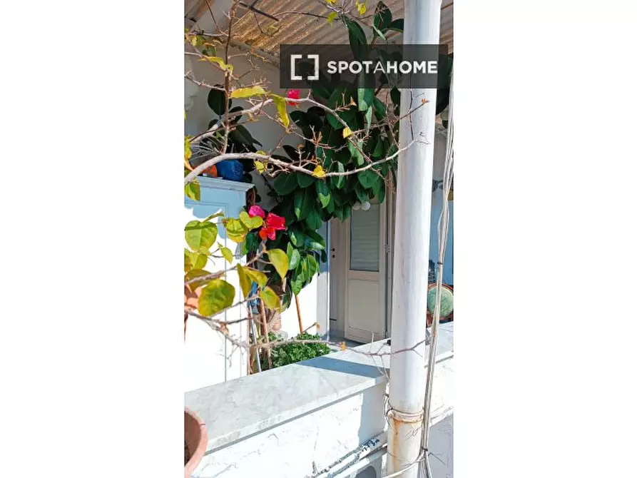 Immagine 3 di Appartamento in affitto  in Via S. Severo a Capodimonte a Napoli