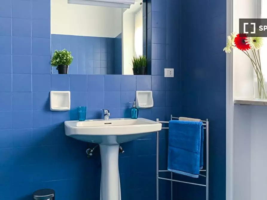 Immagine 10 di Camera condivisa in affitto  in Corso Massimo d'Azeglio n. Scala H a Torino