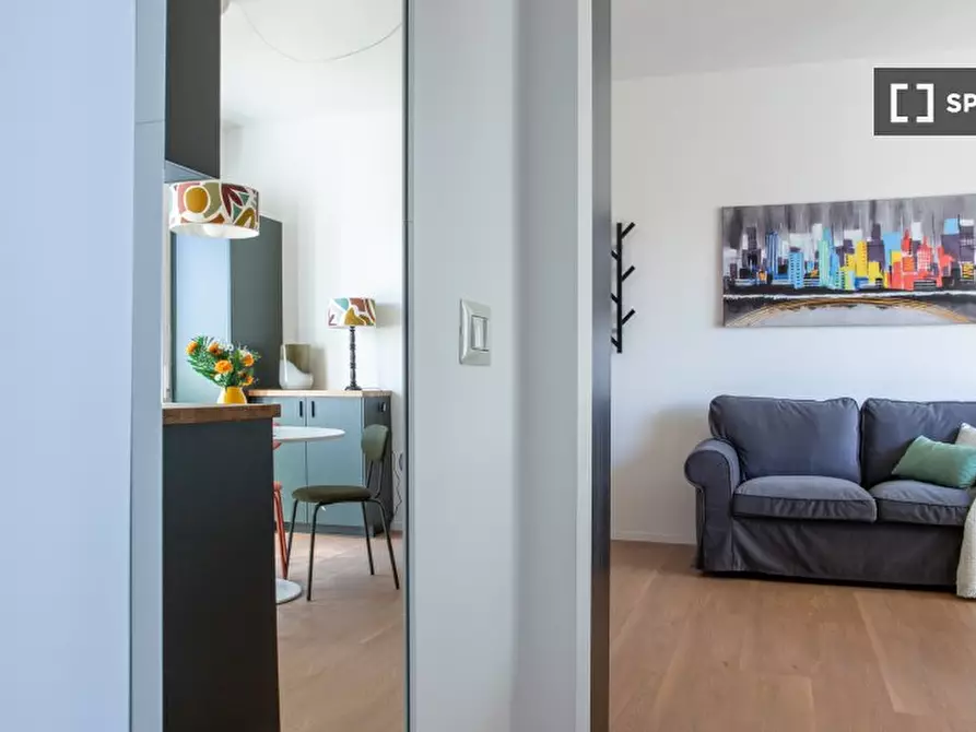 Immagine 16 di Appartamento in affitto  in Via Giacinto Serrati Menotti a Milano