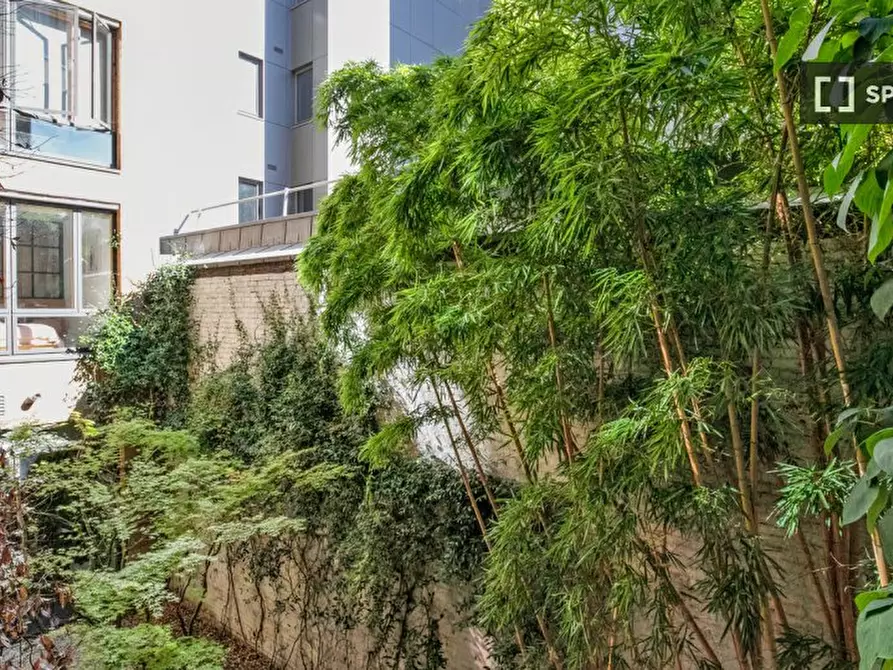 Immagine 6 di Appartamento in affitto  in Drysdale St a Islington