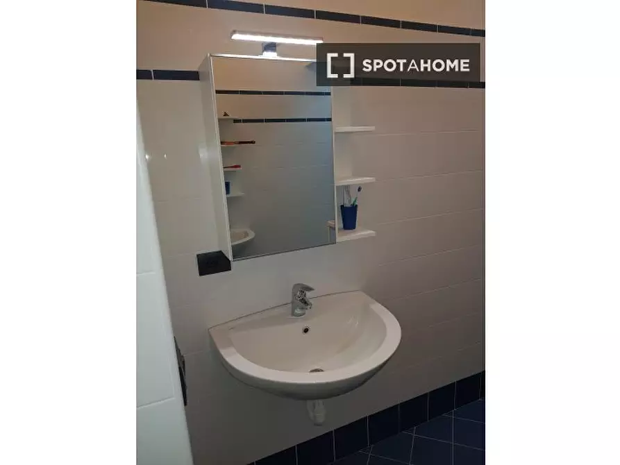 Immagine 15 di Camera condivisa in affitto  in Via Alberto Nota a Torino