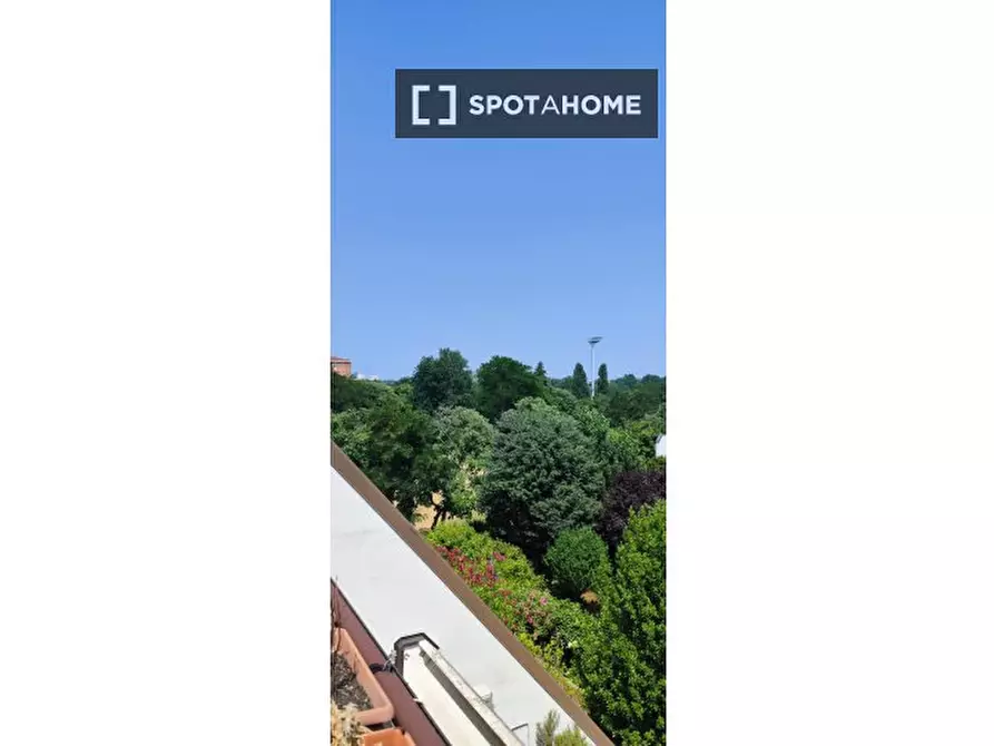 Immagine 11 di Camera condivisa in affitto  in Via Giovanni Bottonelli a Bologna