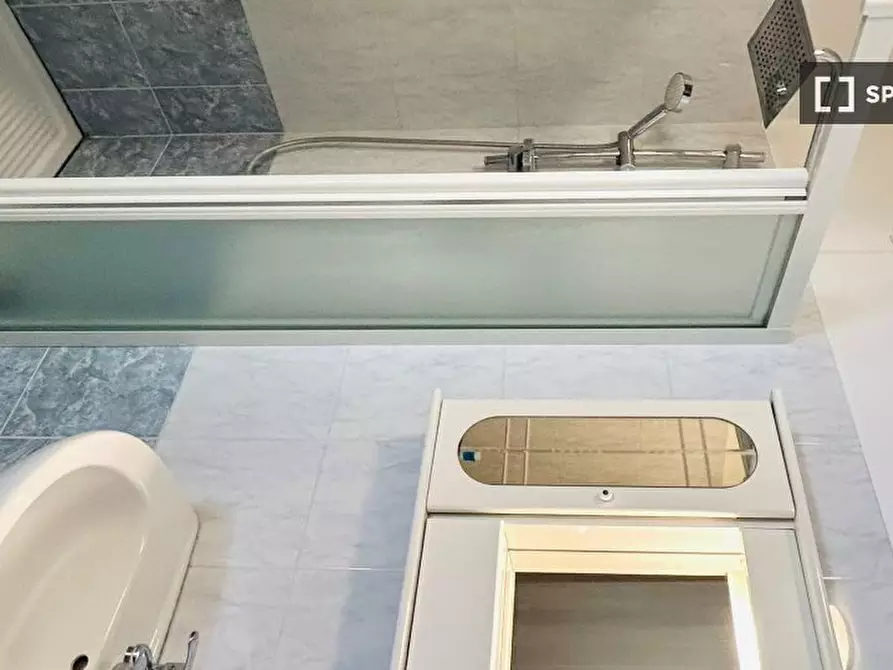 Immagine 15 di Camera condivisa in affitto  in Via Salasco a Milano
