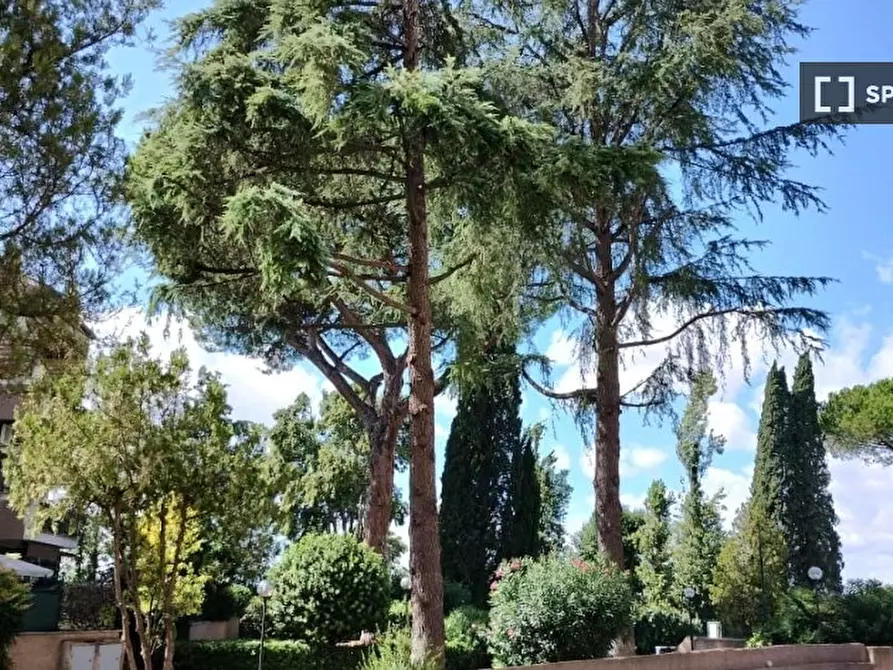 Immagine 2 di Ufficio in affitto  in Via Giovanni Treccani a Roma