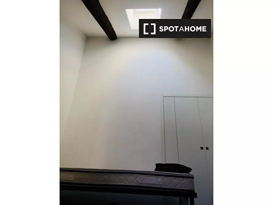 Immagine 8 di Camera condivisa in affitto  in Via Claudio Luigi Berthollet a Torino