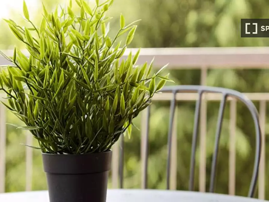Immagine 3 di Camera condivisa in affitto  in Via Delle Ande a Milano