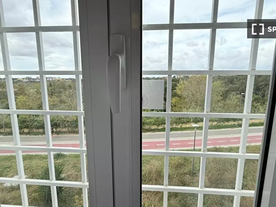 Immagine 17 di Camera condivisa in affitto  in Via Romeo Rodriguez Pereira a Roma