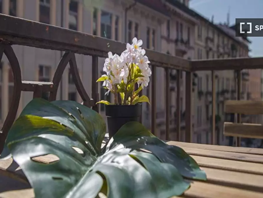 Immagine 9 di Camera condivisa in affitto  in Via Spalato a Milano