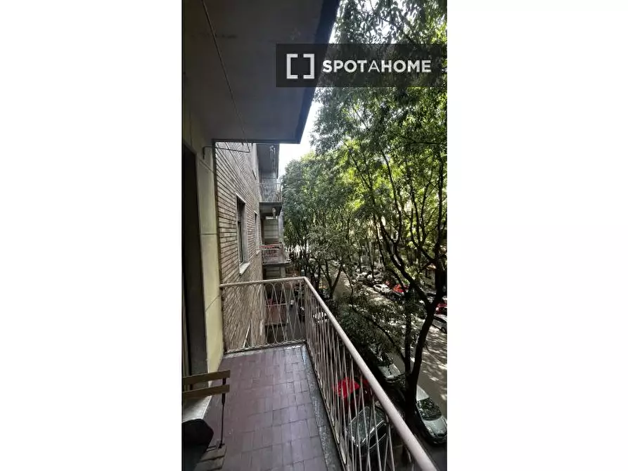 Immagine 5 di Camera condivisa in affitto  in Via Teodosio a Milano