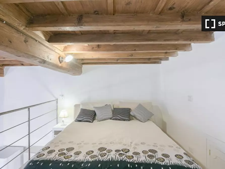 Immagine 18 di Appartamento in affitto  in Via di S. Niccolò a Firenze