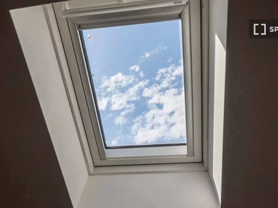 Immagine 5 di Appartamento in affitto  in Via Zamboni a Bologna