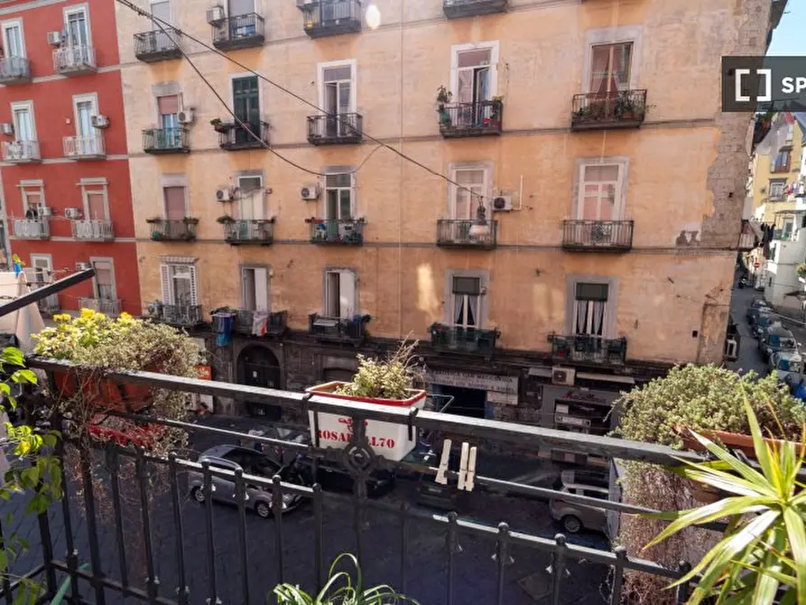 Immagine 7 di Appartamento in affitto  in Via Cesare Rosaroll a Napoli