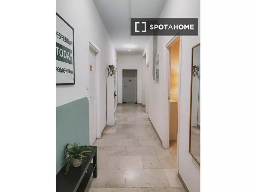 Immagine 17 di Camera condivisa in affitto  in Ciamician a Bologna