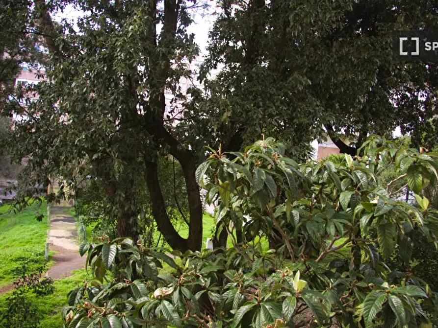 Immagine 11 di Camera condivisa in affitto  in Via Giuseppe de Robertis a Roma
