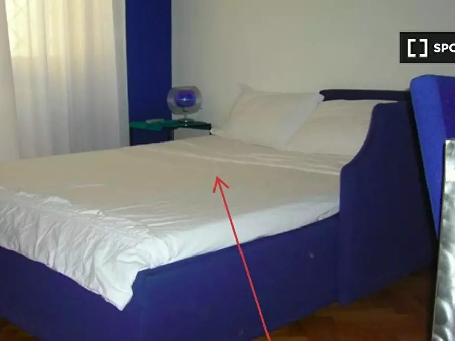 Immagine 7 di Camera condivisa in affitto  in Lungotevere di Pietra Papa a Roma