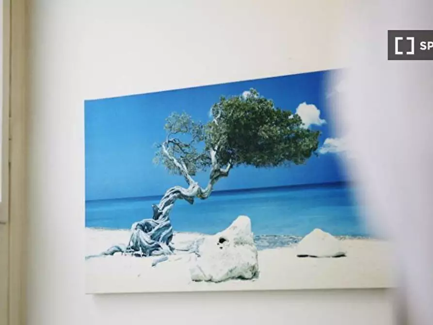 Immagine 16 di Camera condivisa in affitto  in Via Niccolò Paganini a Milano