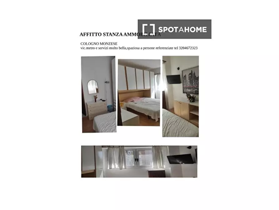 Immagine 5 di Camera condivisa in affitto  in Via Ovidio a Cologno Monzese