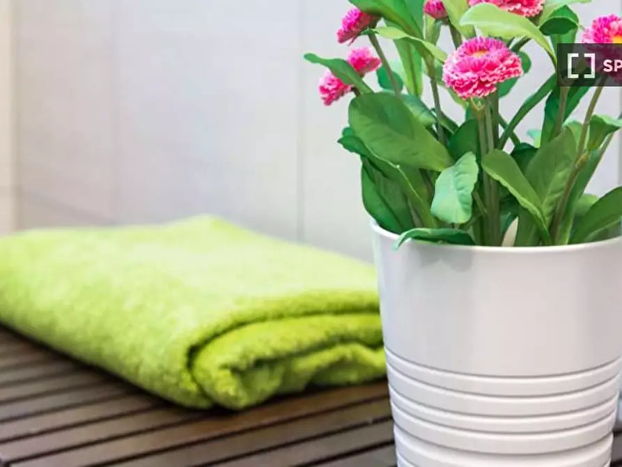 Immagine 18 di Camera condivisa in affitto  in Via delle Acacie Milan a Buccinasco