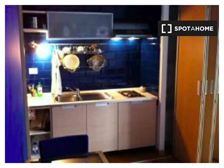 Immagine 13 di Camera condivisa in affitto  in Lungotevere di Pietra Papa a Roma