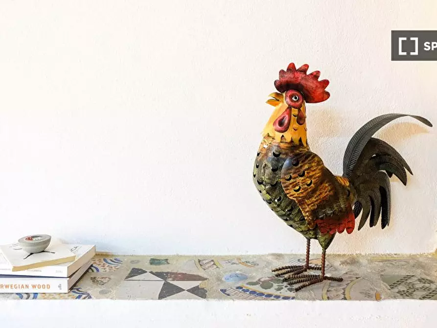 Immagine 5 di Ufficio in affitto  in Via Santa Croce a Cagliari