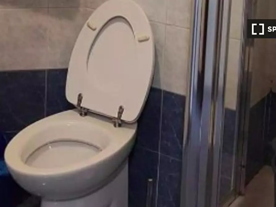 Immagine 7 di Camera condivisa in affitto  in Via Ugo Spirito a Roma