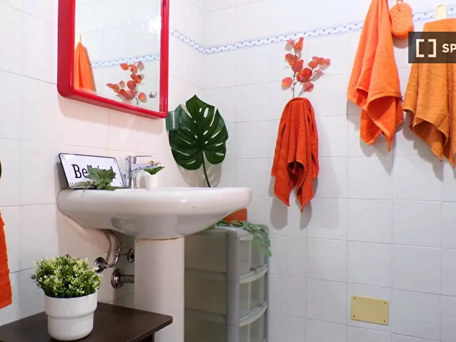 Immagine 14 di Camera condivisa in affitto  in Dei Bibiena n a Bologna