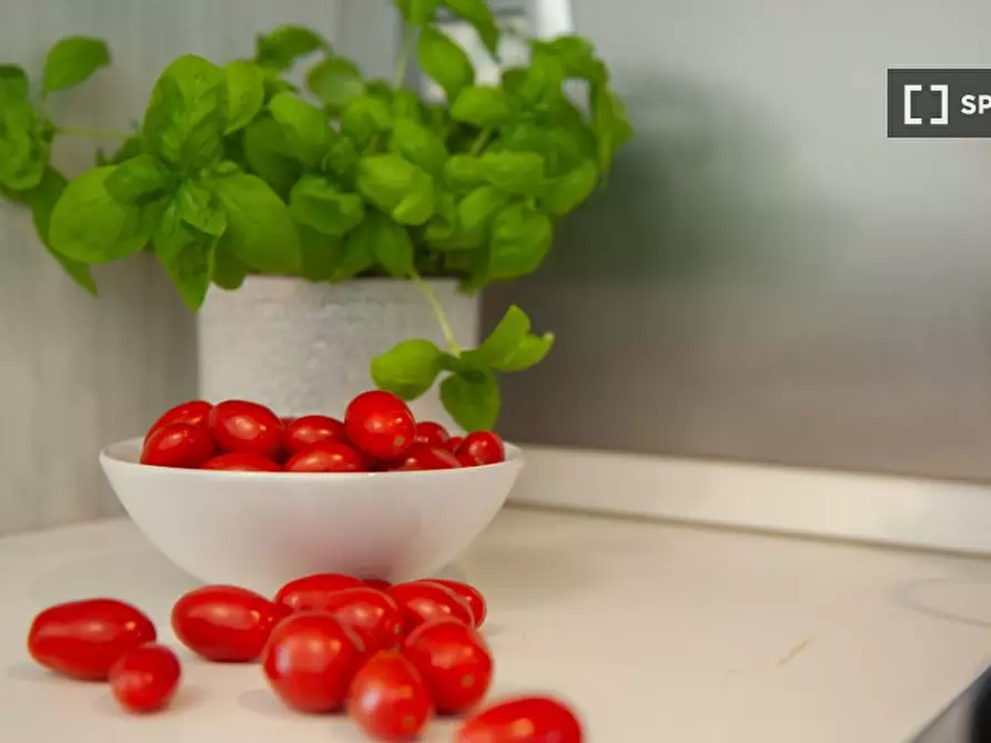 Immagine 17 di Appartamento in affitto  in Via dei Vanni a Firenze