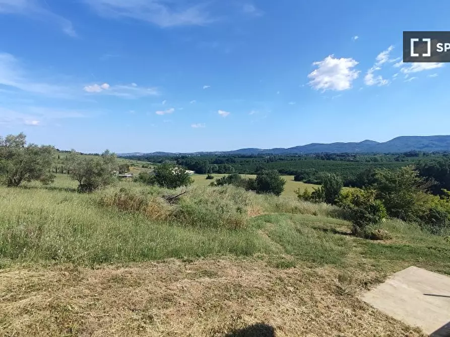 Immagine 6 di Appartamento in affitto  in Via dei Gigli a Sutri