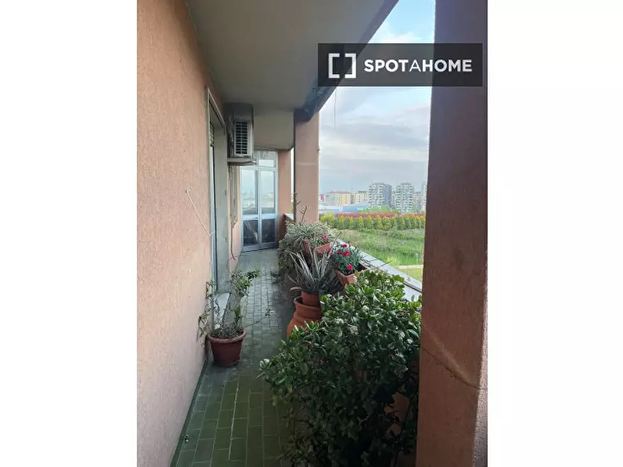 Immagine 10 di Camera condivisa in affitto  in Via Giovanni Cimabue a Milano