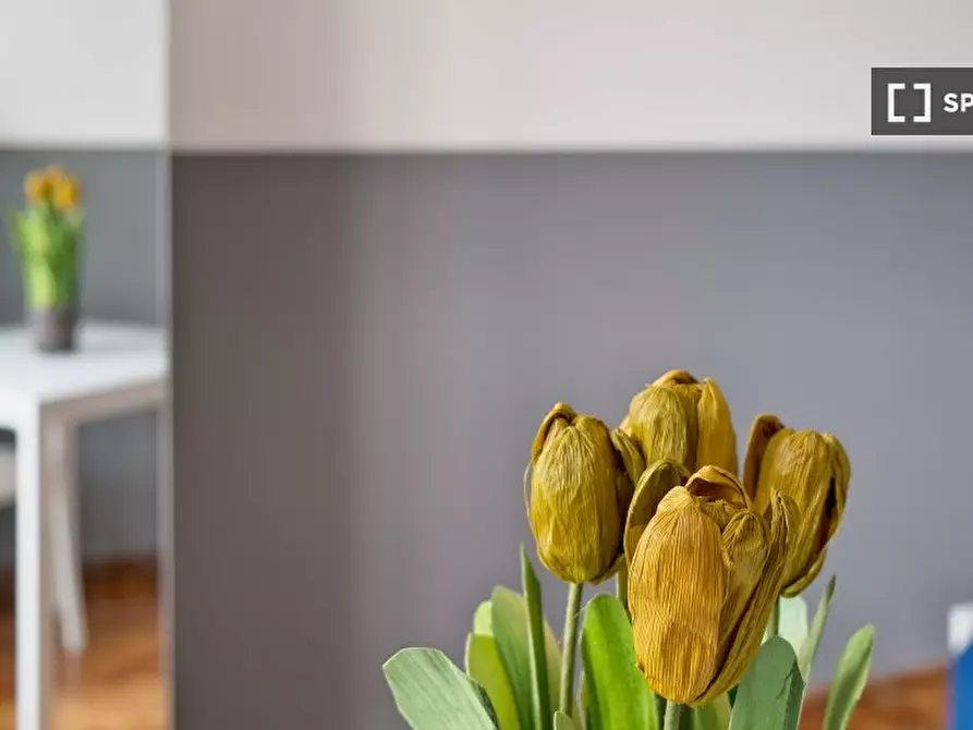 Immagine 17 di Camera condivisa in affitto  in Via Cavalli n. bis a Torino