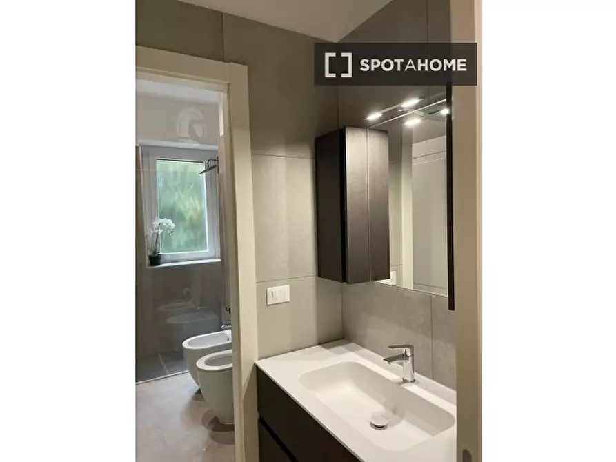 Immagine 15 di Camera condivisa in affitto  in Via Giovanni Battista Piranesi a Milano