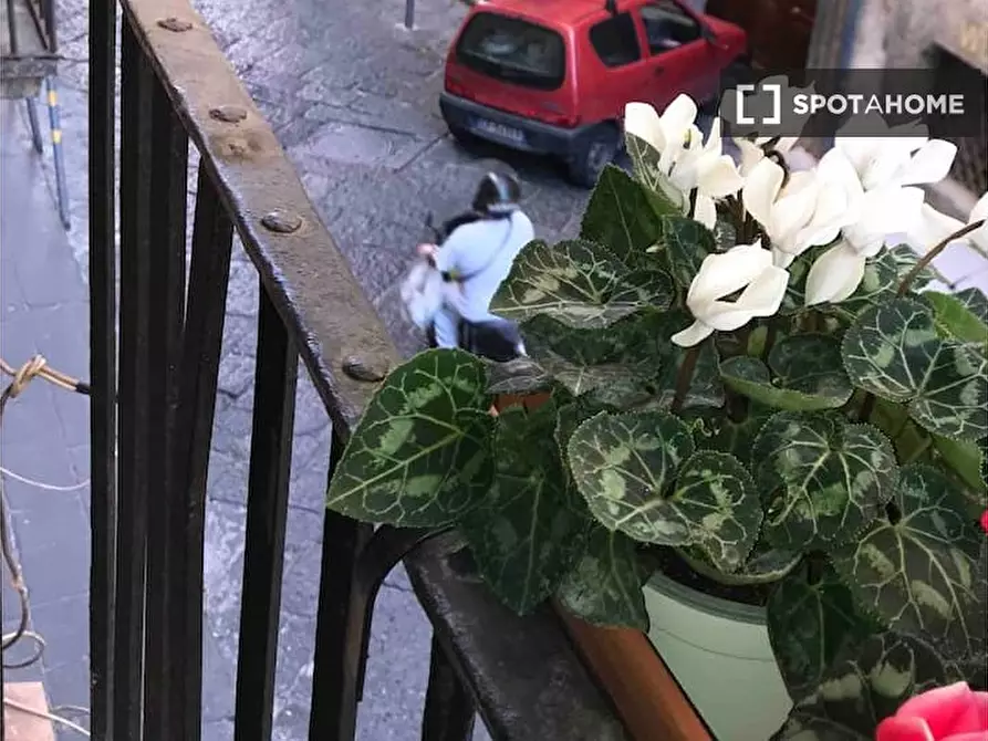 Immagine 7 di Appartamento in affitto  in Via Pellegrini a Napoli