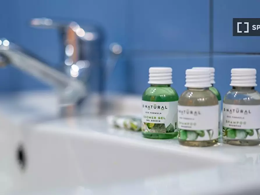 Immagine 14 di Appartamento in affitto  in Via Nicola Palmieri a Milano