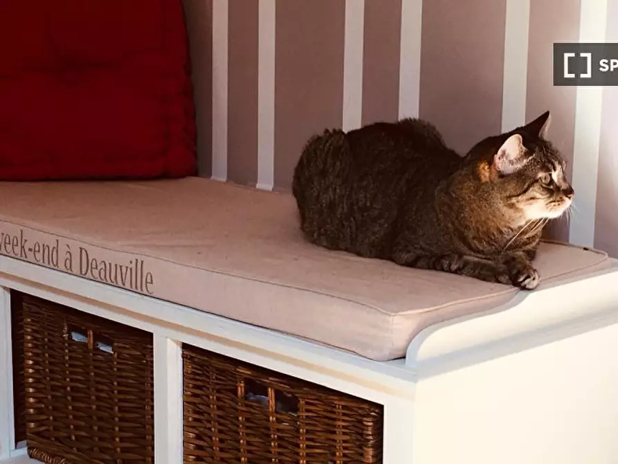 Immagine 6 di Camera condivisa in affitto  in Via Magolfa a Milano