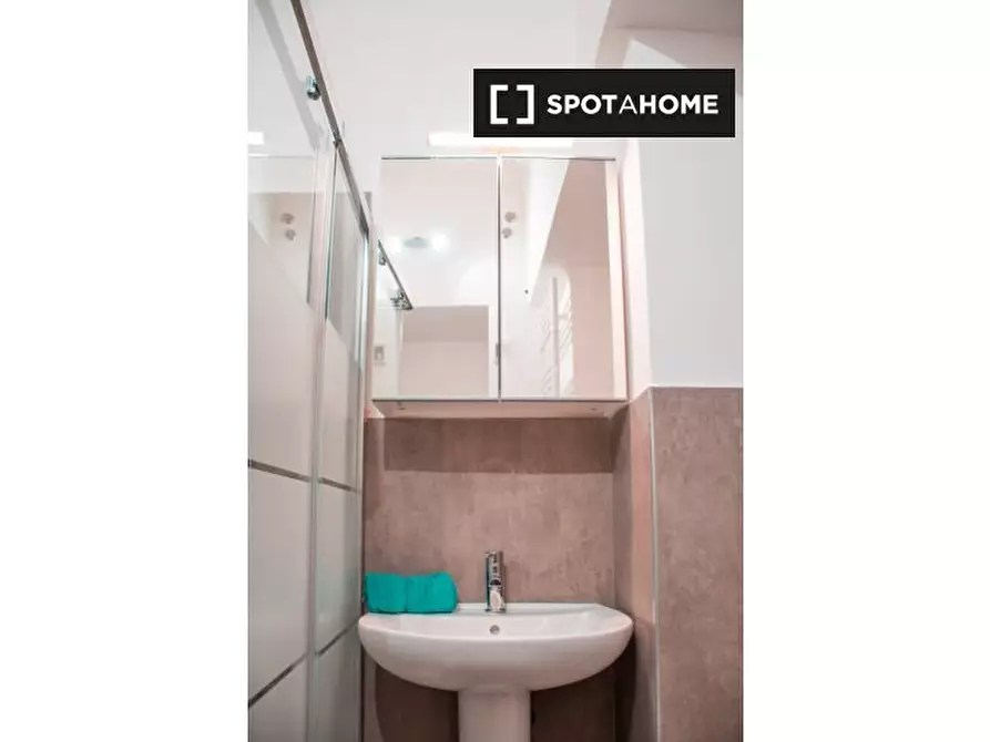 Immagine 13 di Camera condivisa in affitto  in Via Alfonso Bonafous a Torino