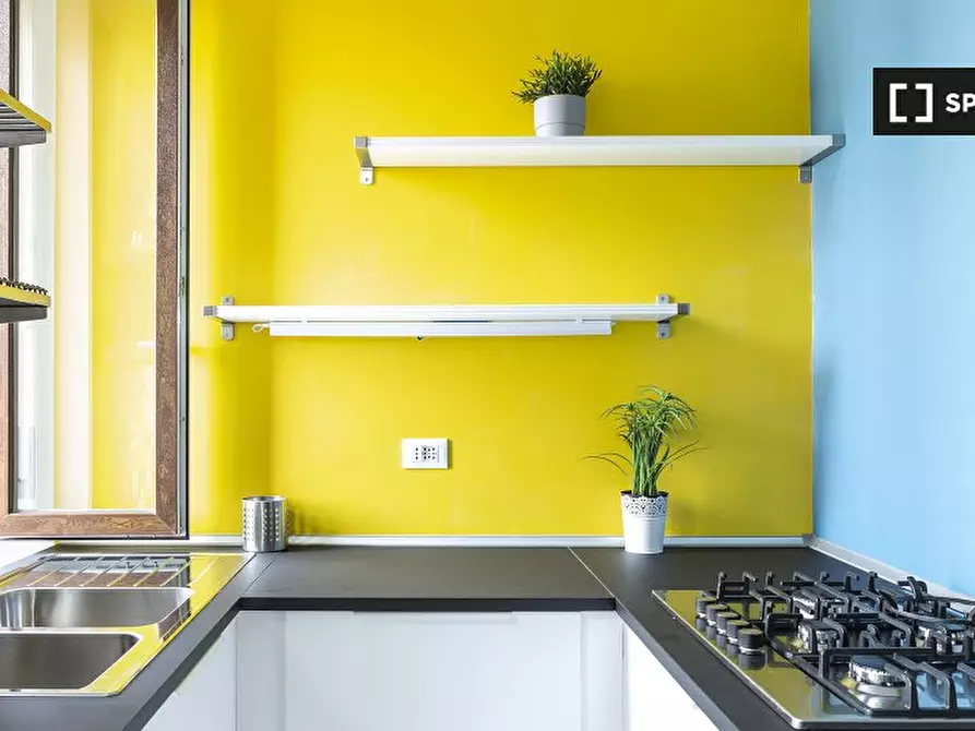 Immagine 19 di Camera condivisa in affitto  in Via Bartolomeo Eustachi a Milano