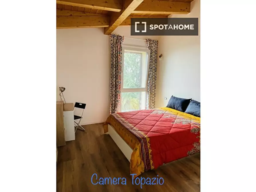 Immagine 1 di Camera condivisa in affitto  in Via Filippo Meda a Paderno Dugnano