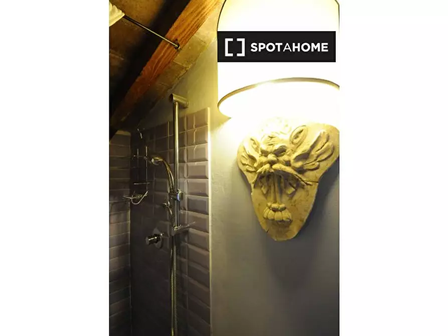 Immagine 2 di Camera condivisa in affitto  in Lungarno Amerigo Vespucci a Firenze