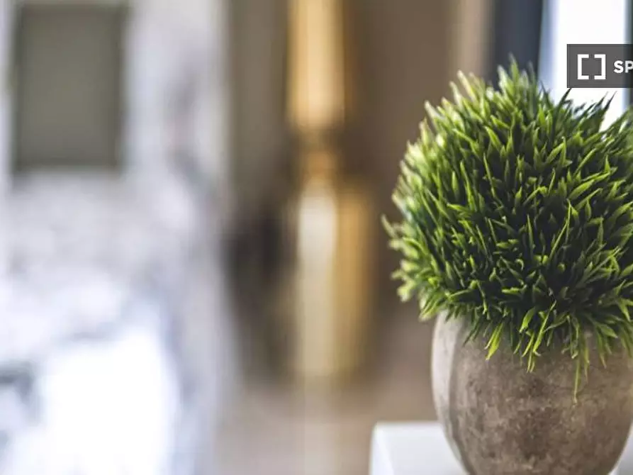 Immagine 6 di Camera condivisa in affitto  in Viale Nazario Sauro a Milano