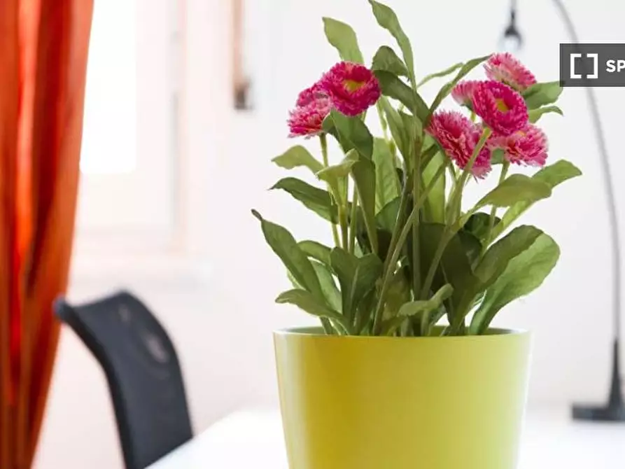 Immagine 7 di Camera condivisa in affitto  in Via Salvatore Barzilai a Milano