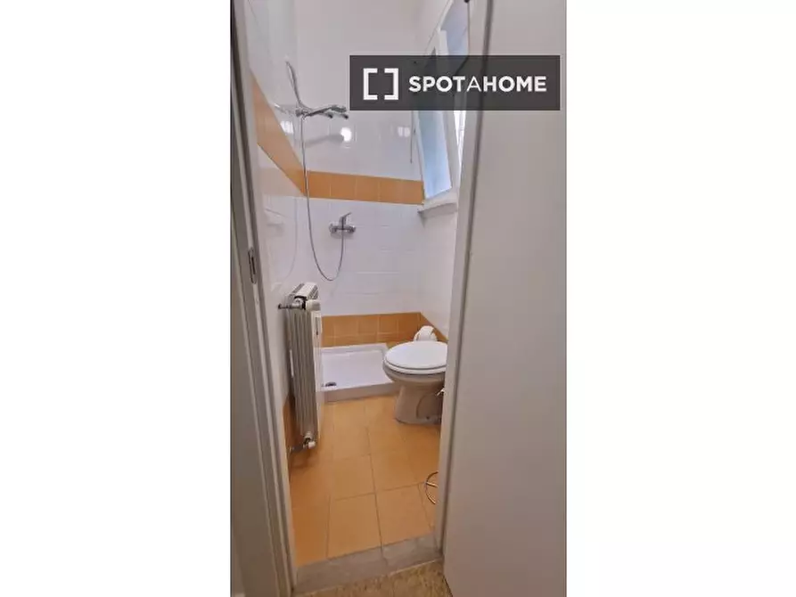 Immagine 17 di Camera condivisa in affitto  in Lungotevere di Pietra Papa a Roma