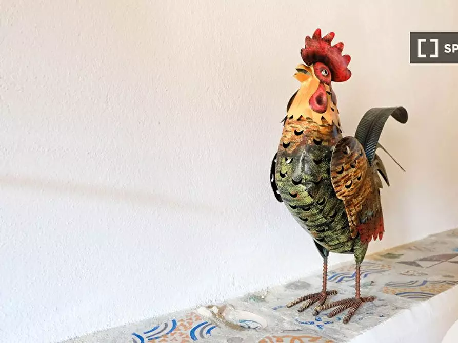 Immagine 9 di Ufficio in affitto  in Via Santa Croce a Cagliari