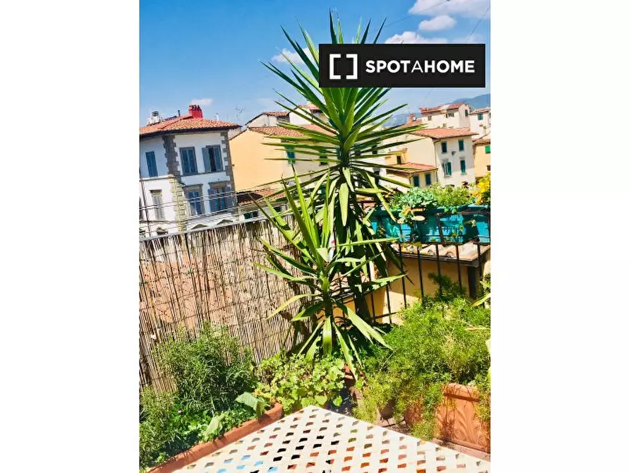 Immagine 12 di Appartamento in affitto  in Via dell'Agnolo a Firenze