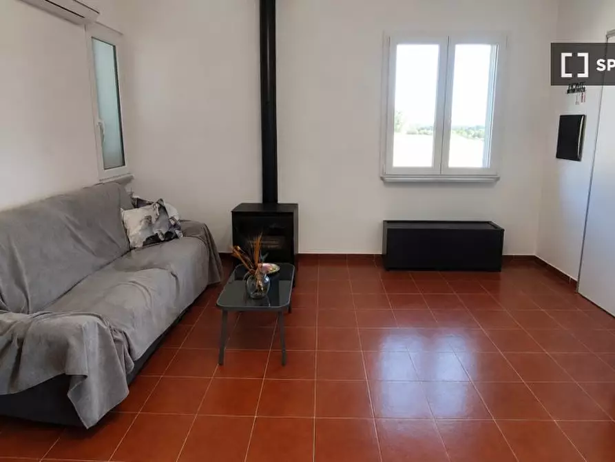 Immagine 9 di Appartamento in affitto  in Via dei Gigli a Sutri