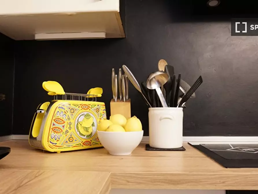 Immagine 17 di Appartamento in affitto  in Via Luigi Mangiagalli a Milano