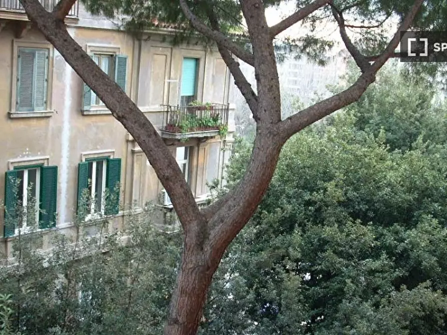 Immagine 7 di Camera condivisa in affitto  in Piazza Melozzo da Forlì, 00196 Roma RM, Italy a Roma